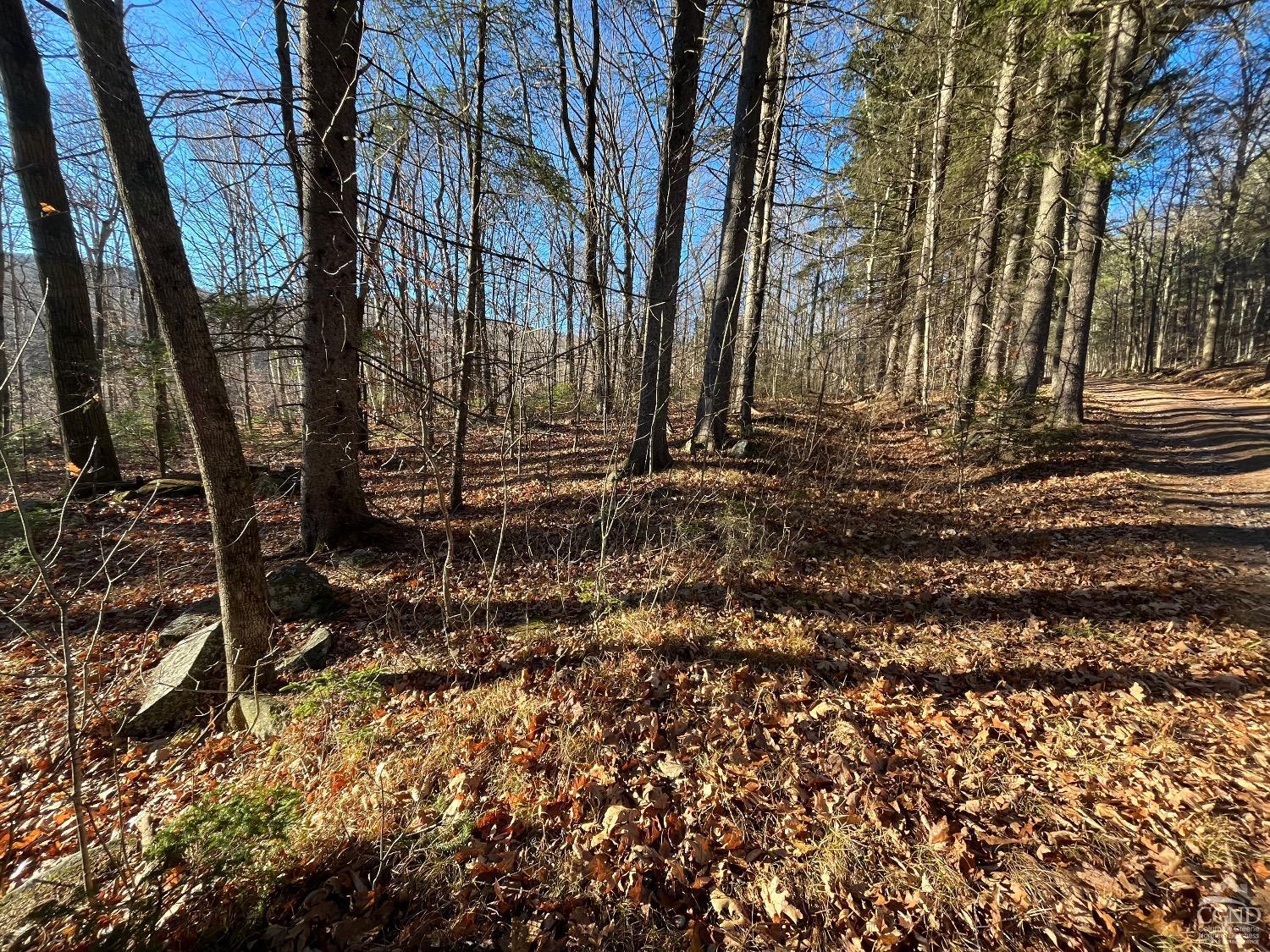 Off Mount Pisgah Road, Windham, New York image 4