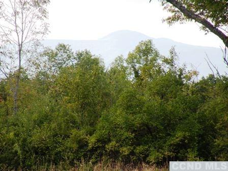 134 S Lockwood Ave, Livingston, New York image 7