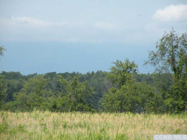 134 S Lockwood Ave, Livingston, New York image 11