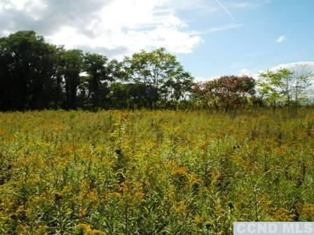 134 S Lockwood Ave, Livingston, New York image 3