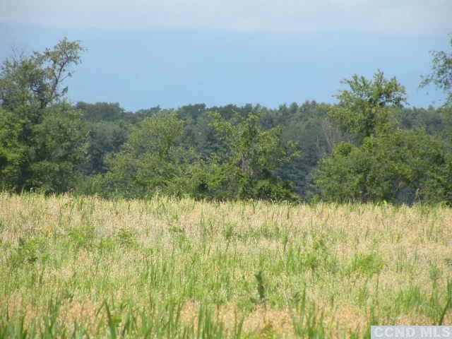 134 S Lockwood Ave, Livingston, New York image 10