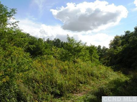 134 S Lockwood Ave, Livingston, New York image 2