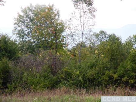 134 S Lockwood Ave, Livingston, New York image 4
