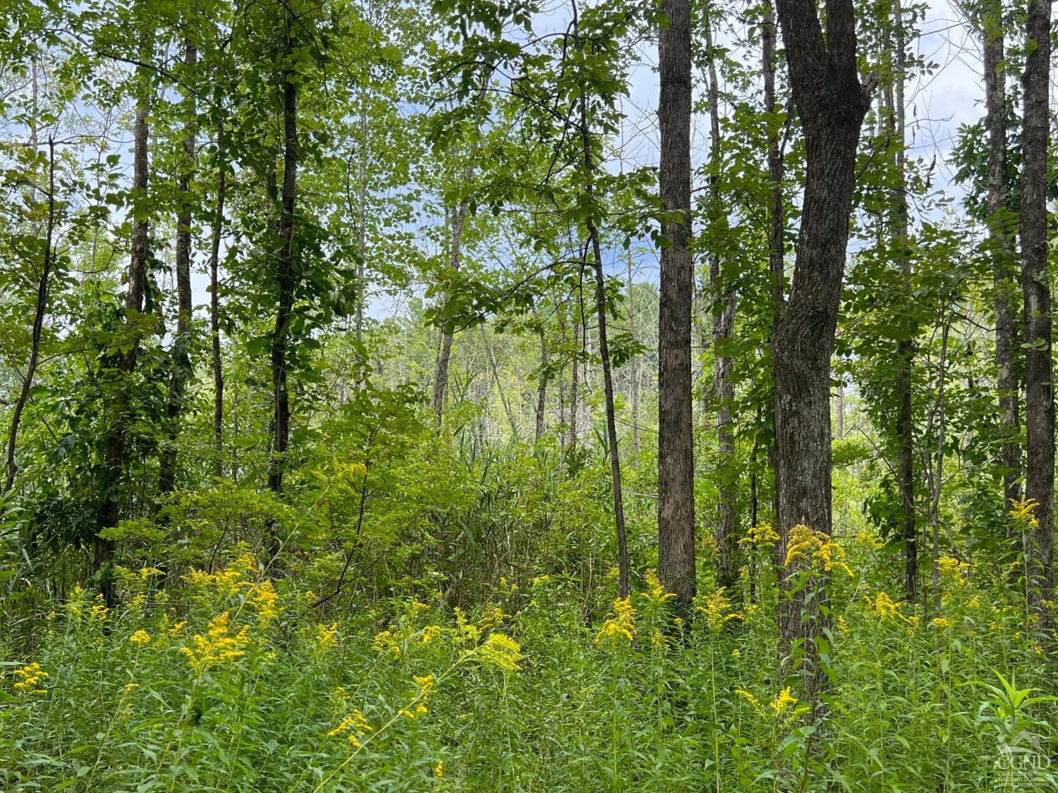 Amy Road, Canaan, Connecticut image 14