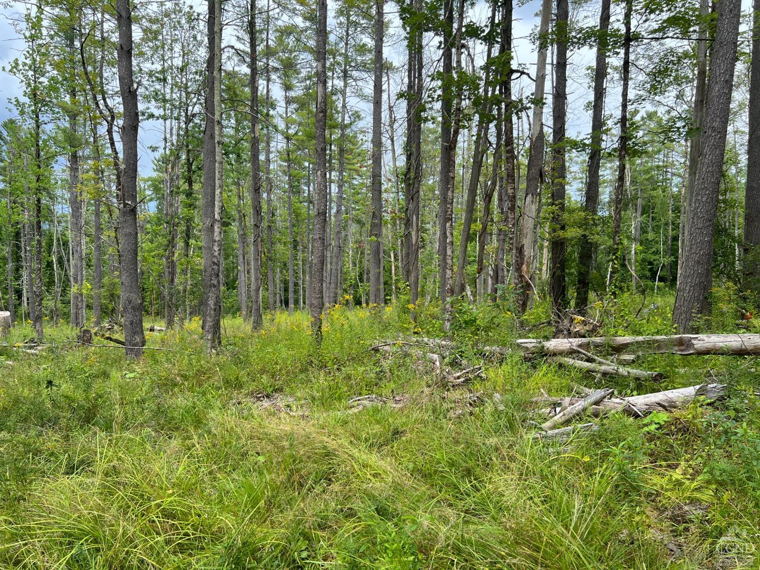 Amy Road, Canaan, Connecticut image 17