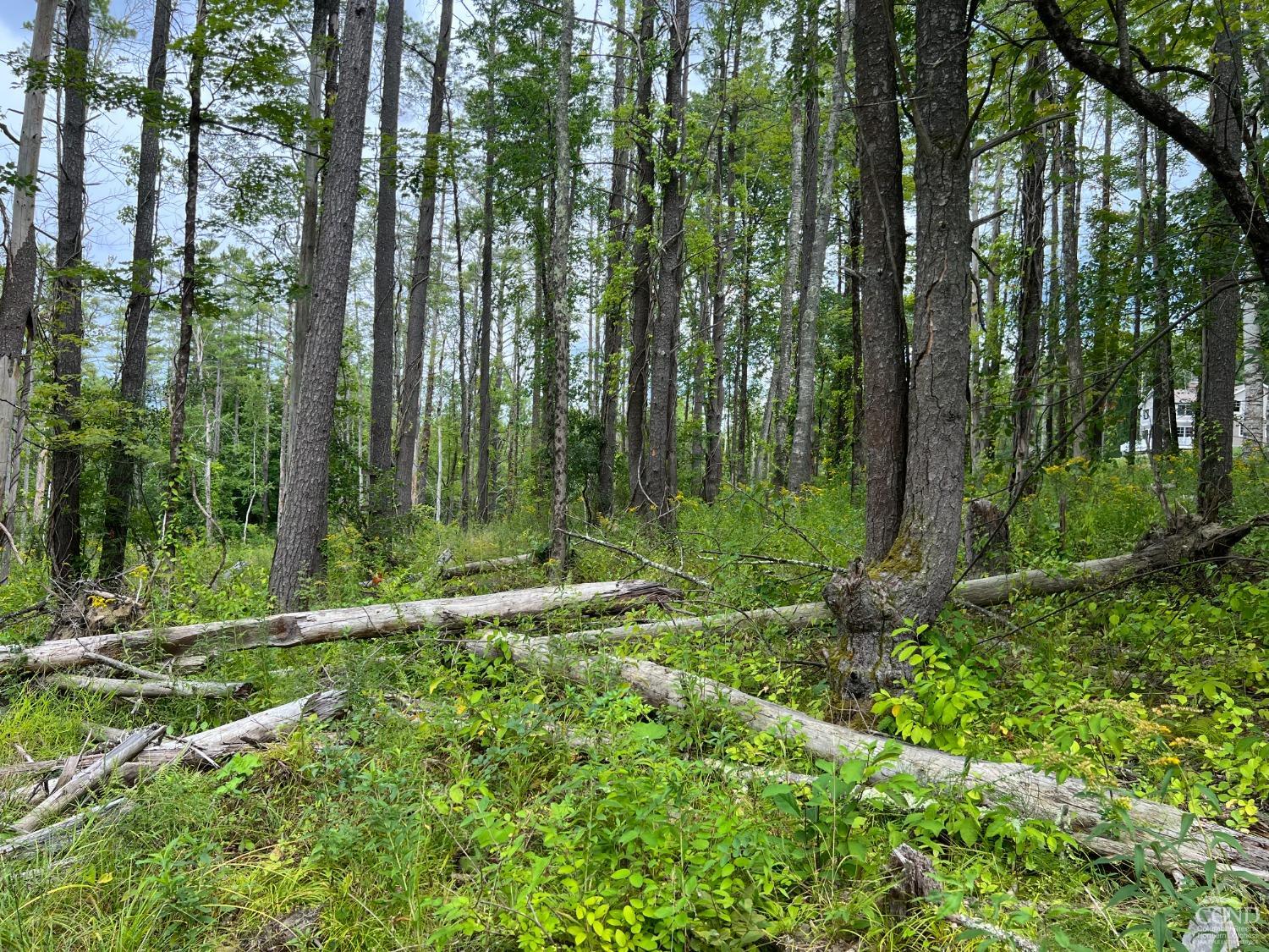 Amy Road, Canaan, Connecticut image 20