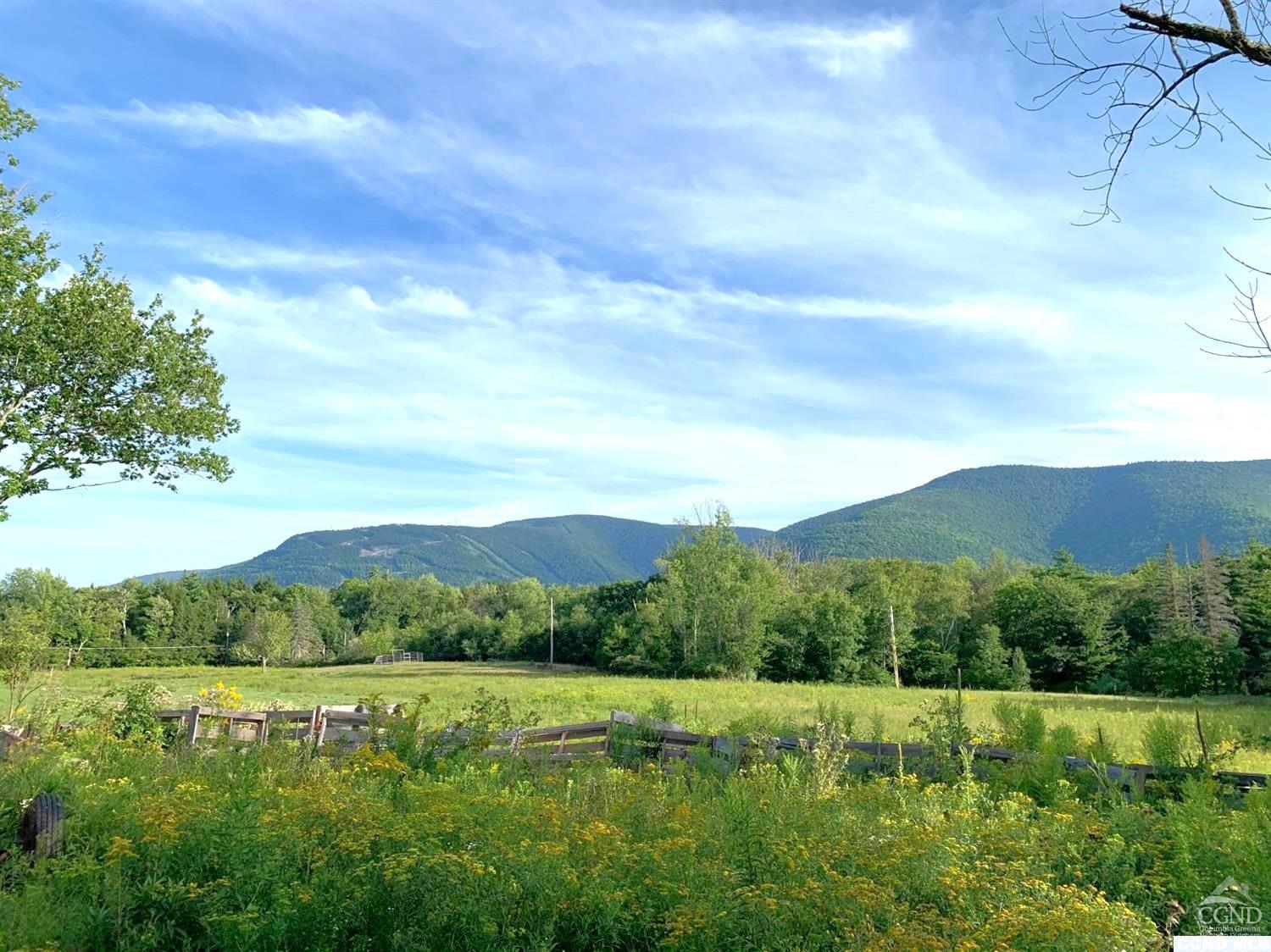 369 Ford Hill Rd., Hunter, New York image 9