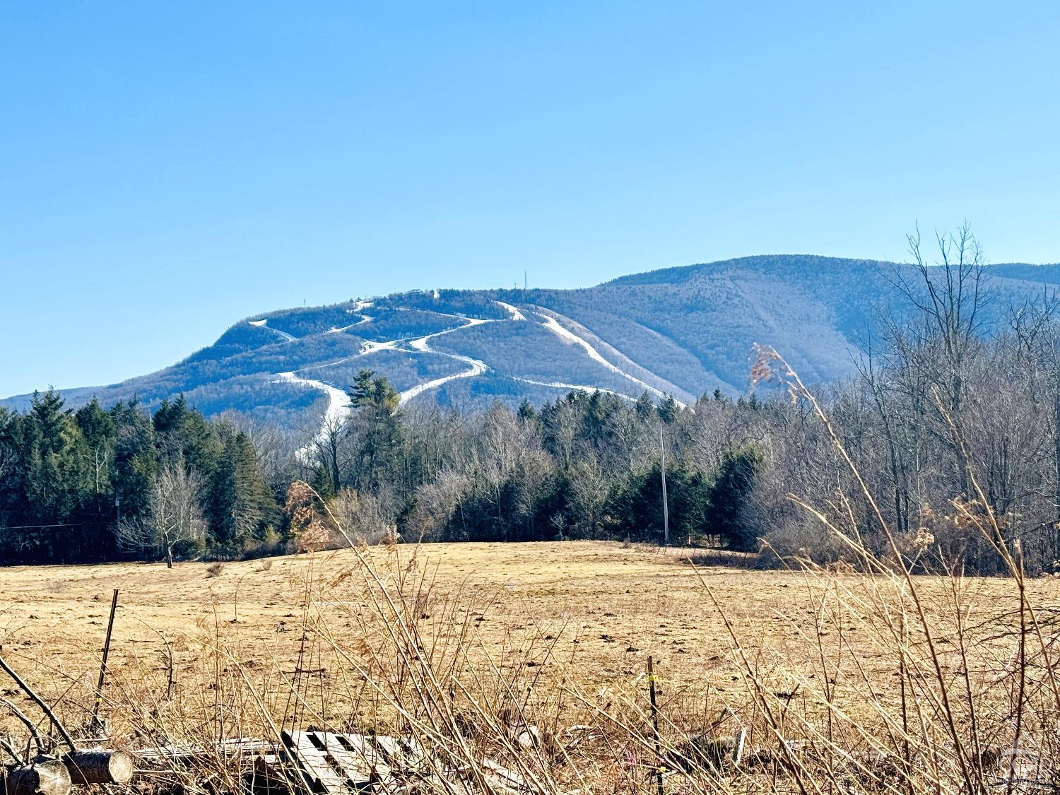 369 Ford Hill Rd., Hunter, New York image 8