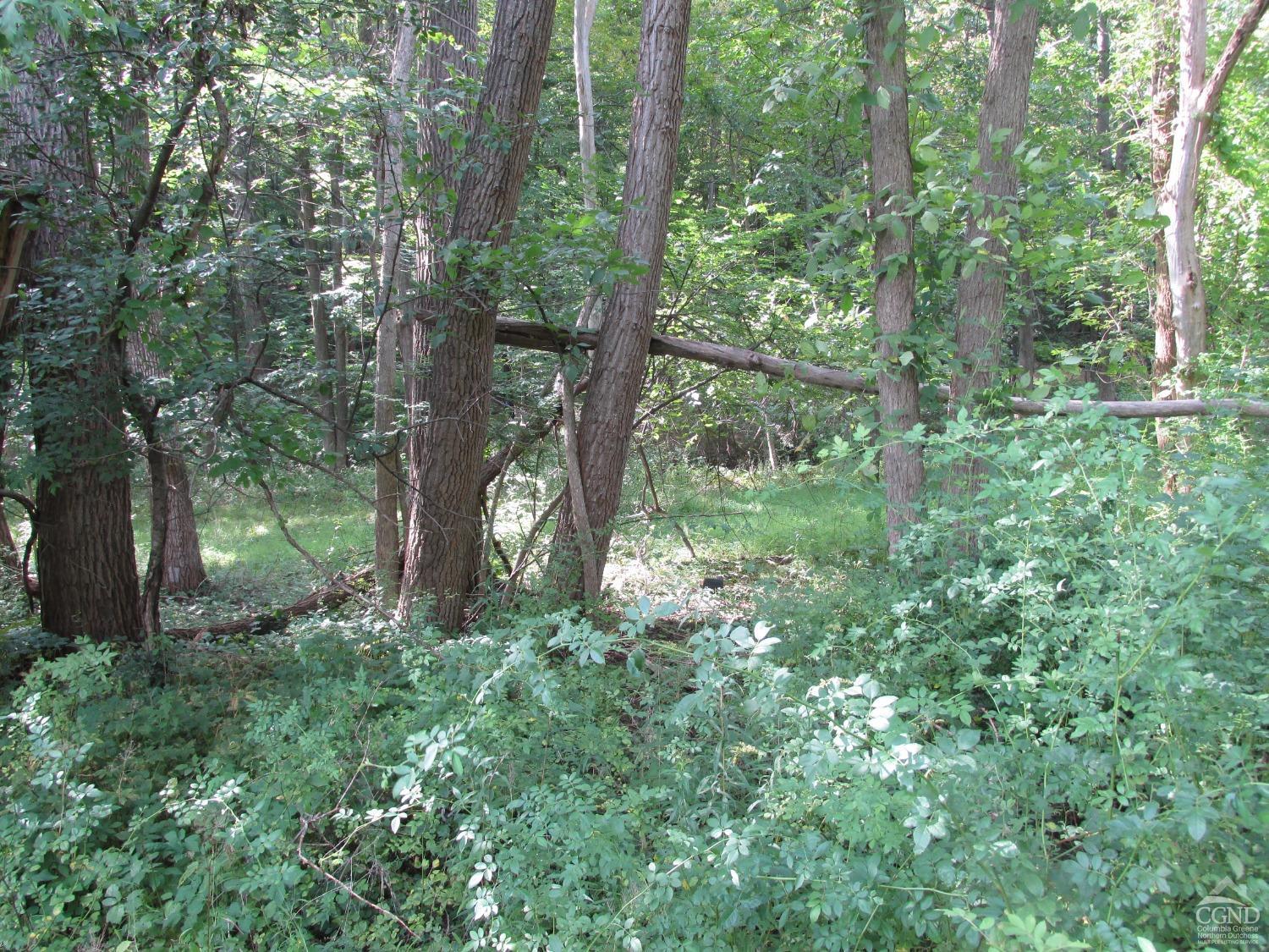 Wynantskill, New York 12198, United States, ,Land,Active,70892