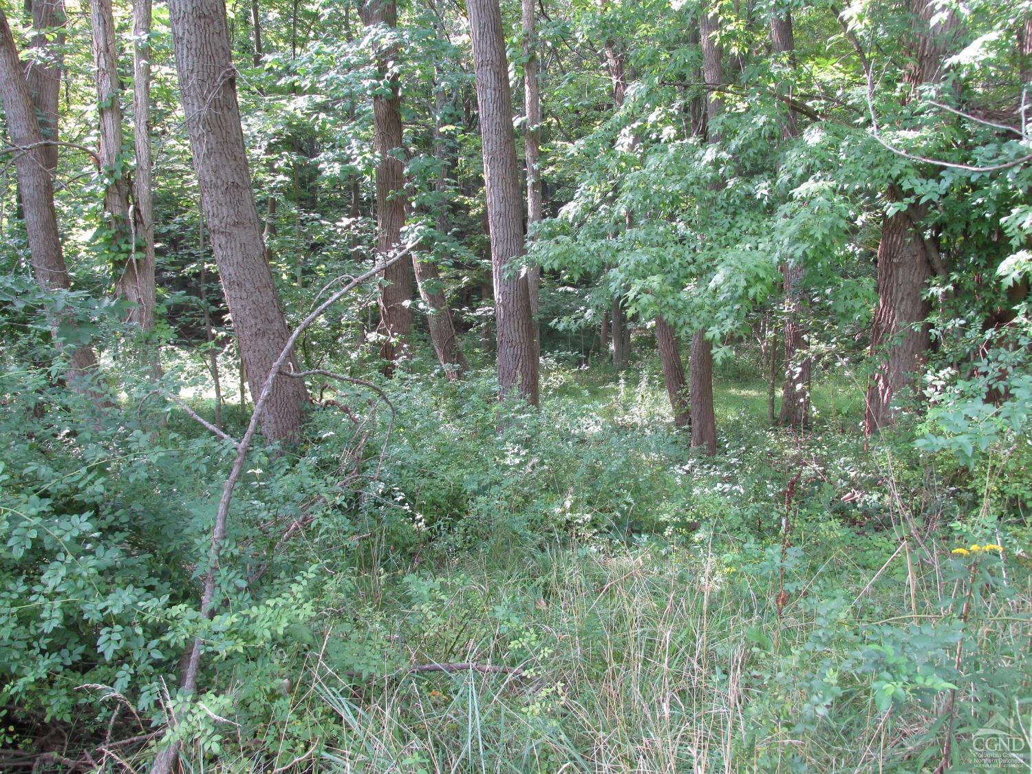 Wynantskill, New York 12198, United States, ,Land,Active,70892