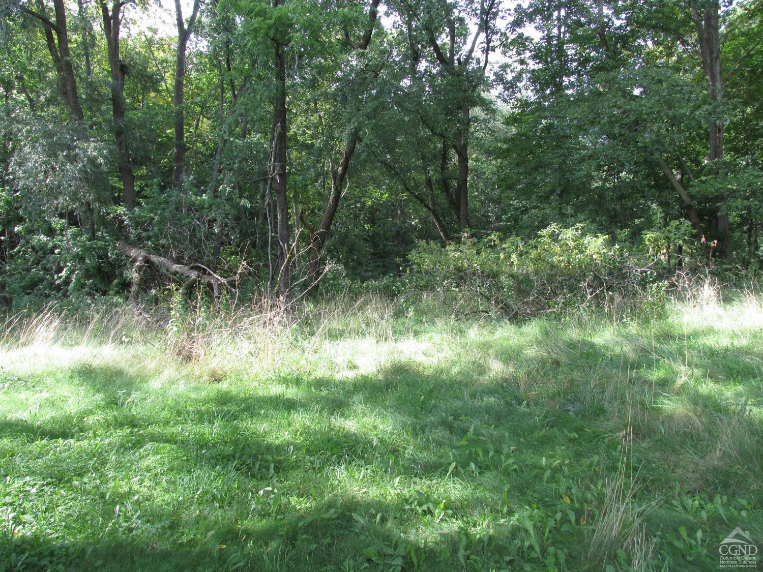 Wynantskill, New York 12198, United States, ,Land,Active,70892