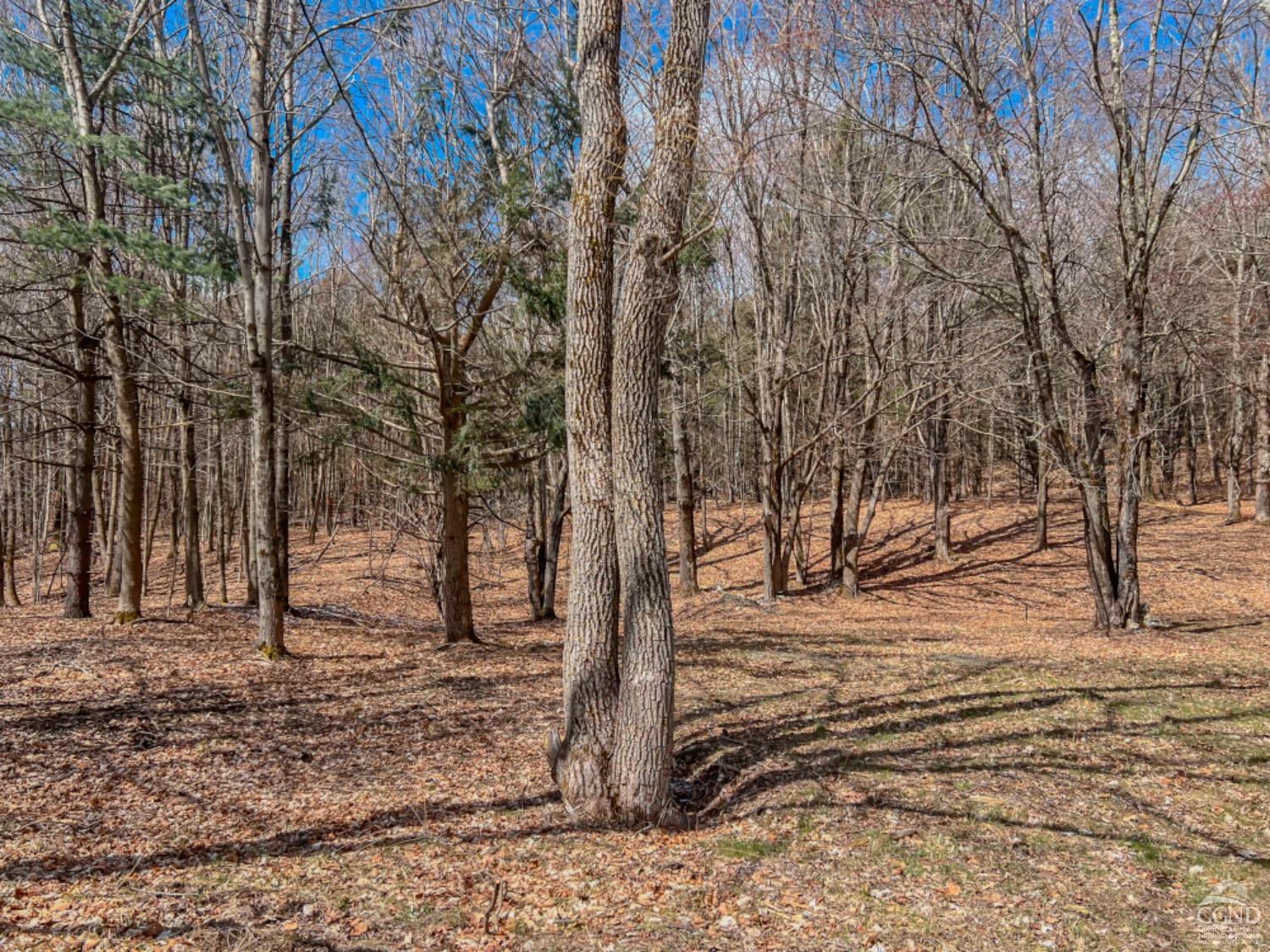 County Route 9, Chatham, New York image 5