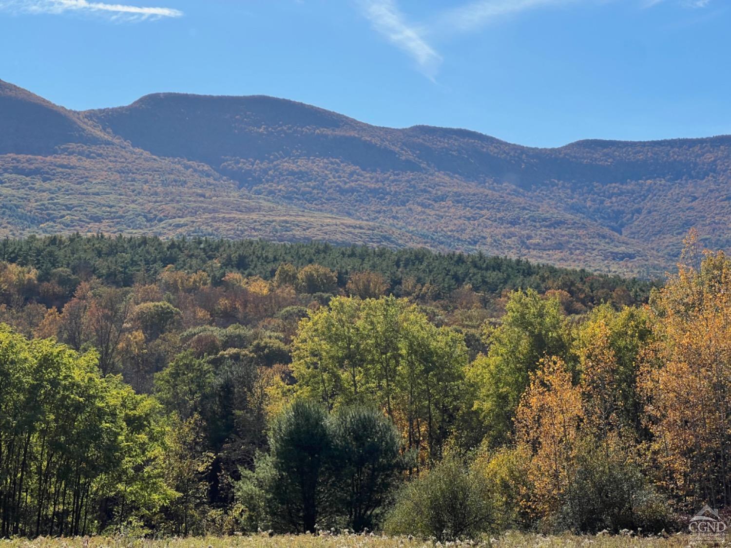 Sunside Road, Cairo, New York image 6