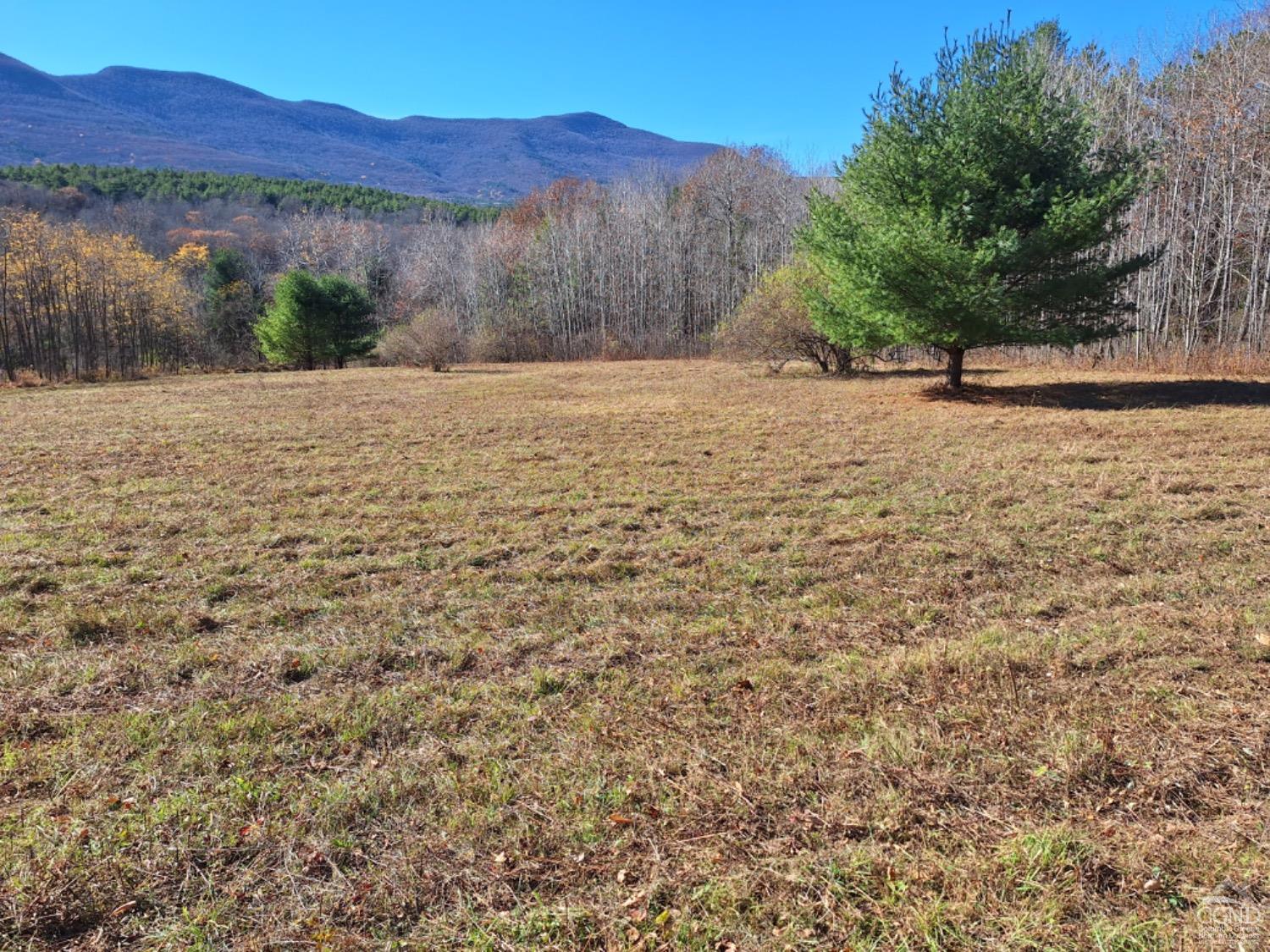 Sunside Road, Cairo, New York image 1