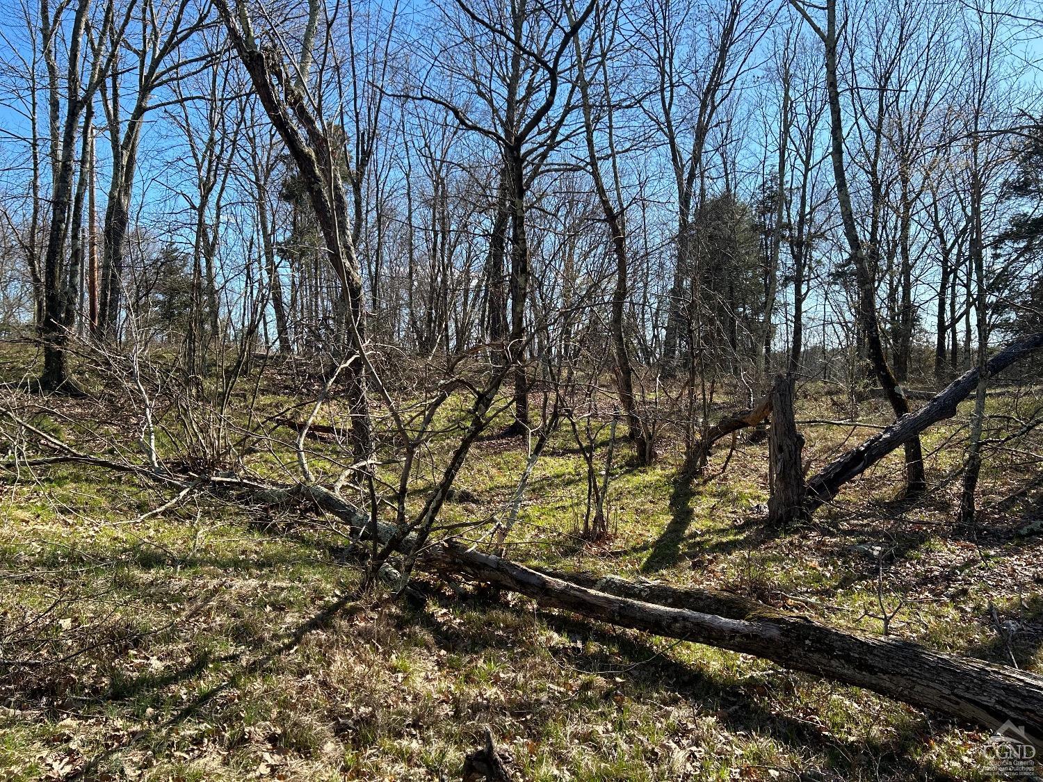 County Route 11, Ancram, New York image 6