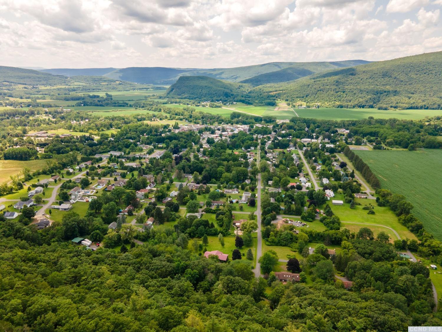 0 L16 Mt Path, Middleburgh, New York image 3