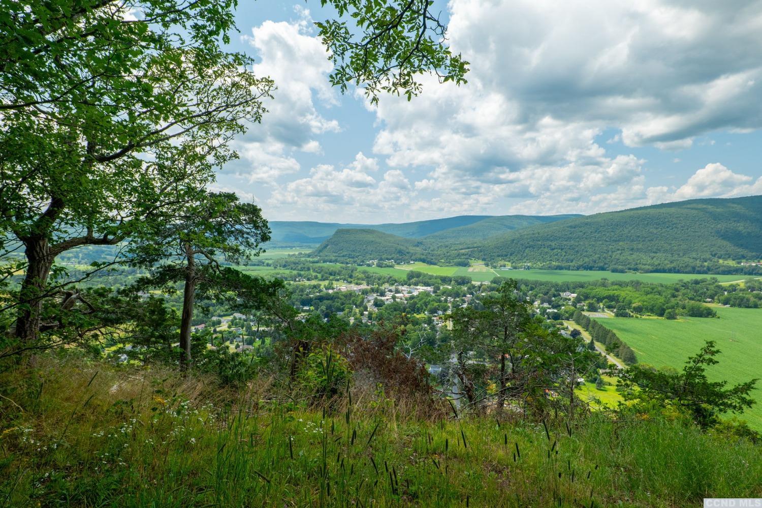 0 L16 Mt Path, Middleburgh, New York image 15