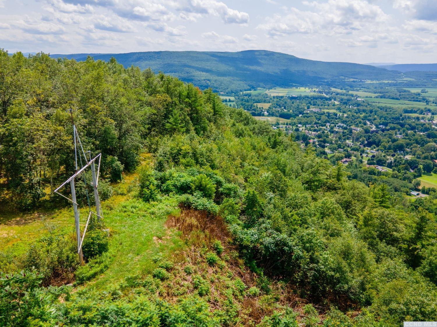 0 L16 Mt Path, Middleburgh, New York image 20