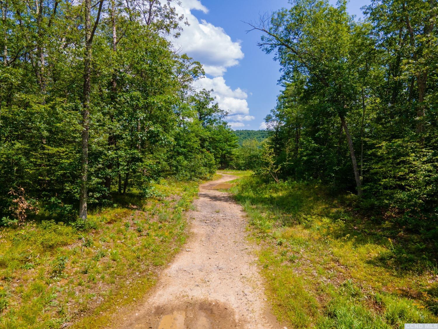 0 L16 Mt Path, Middleburgh, New York image 5