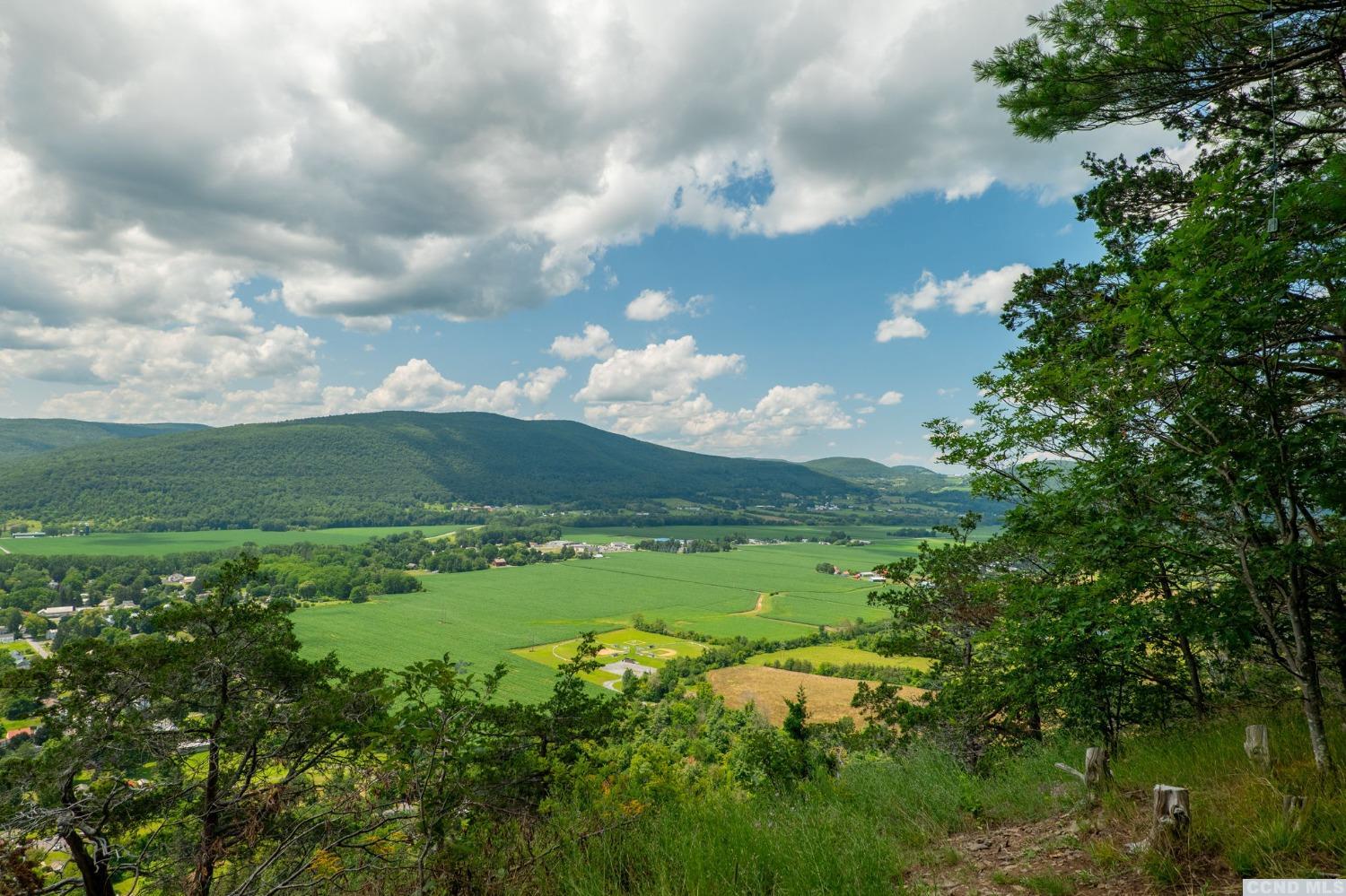 0 L16 Mt Path, Middleburgh, New York image 1