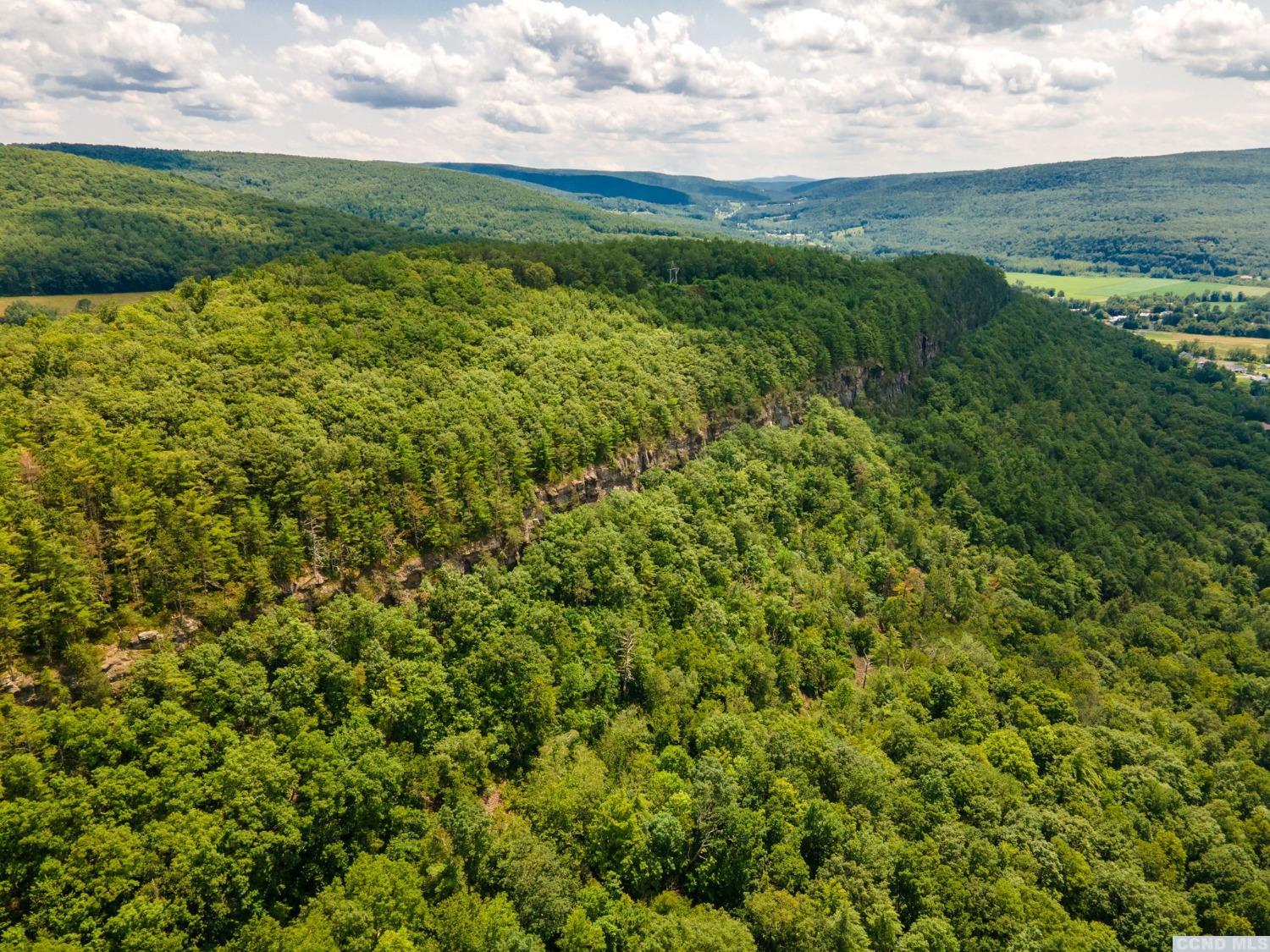 0 L16 Mt Path, Middleburgh, New York image 8