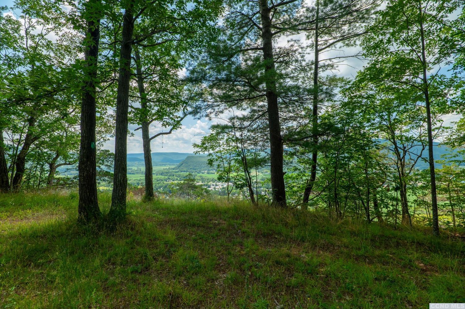 0 L16 Mt Path, Middleburgh, New York image 2