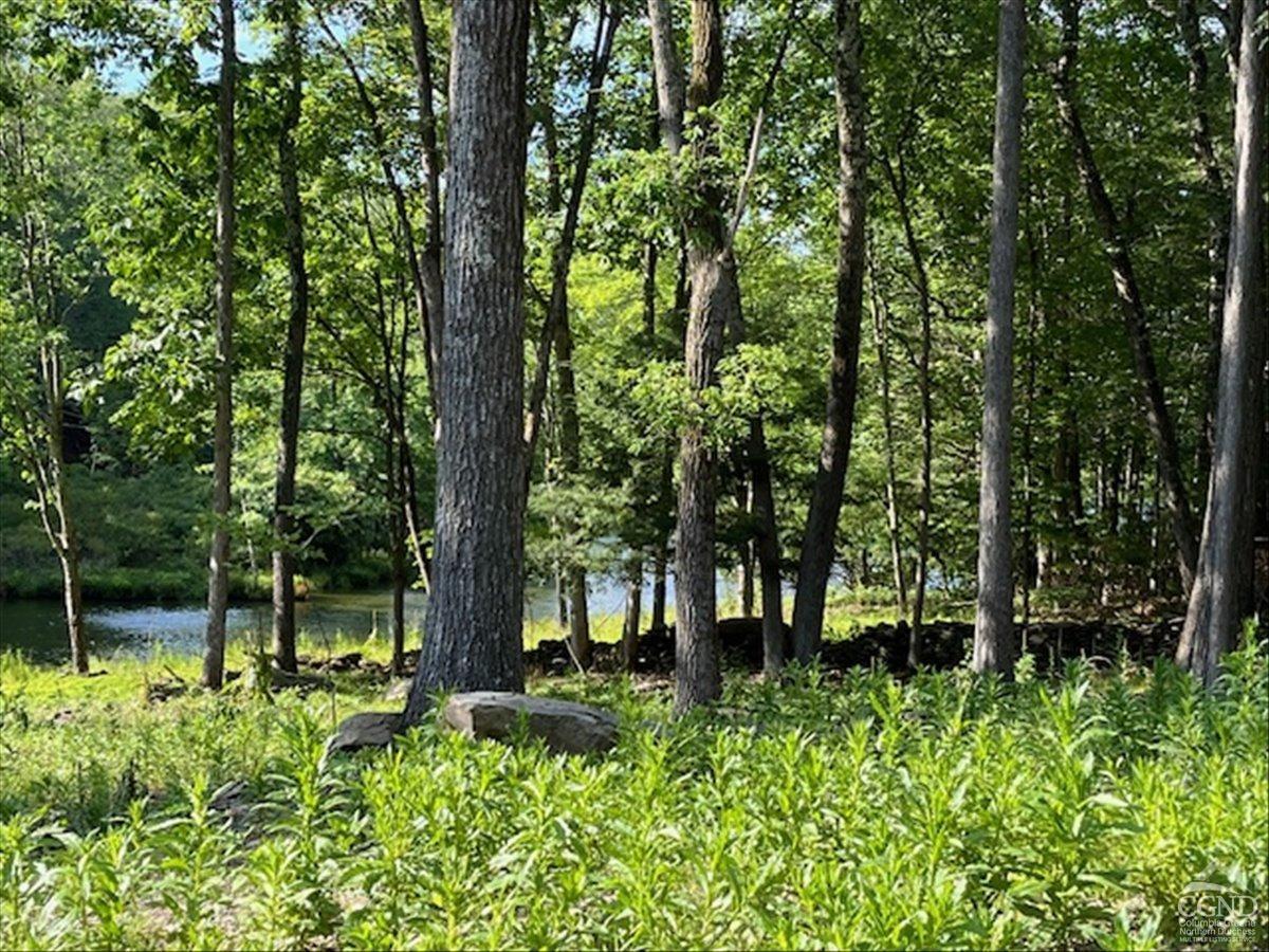 185 193 Paradise Lake Road, Catskill, New York image 9