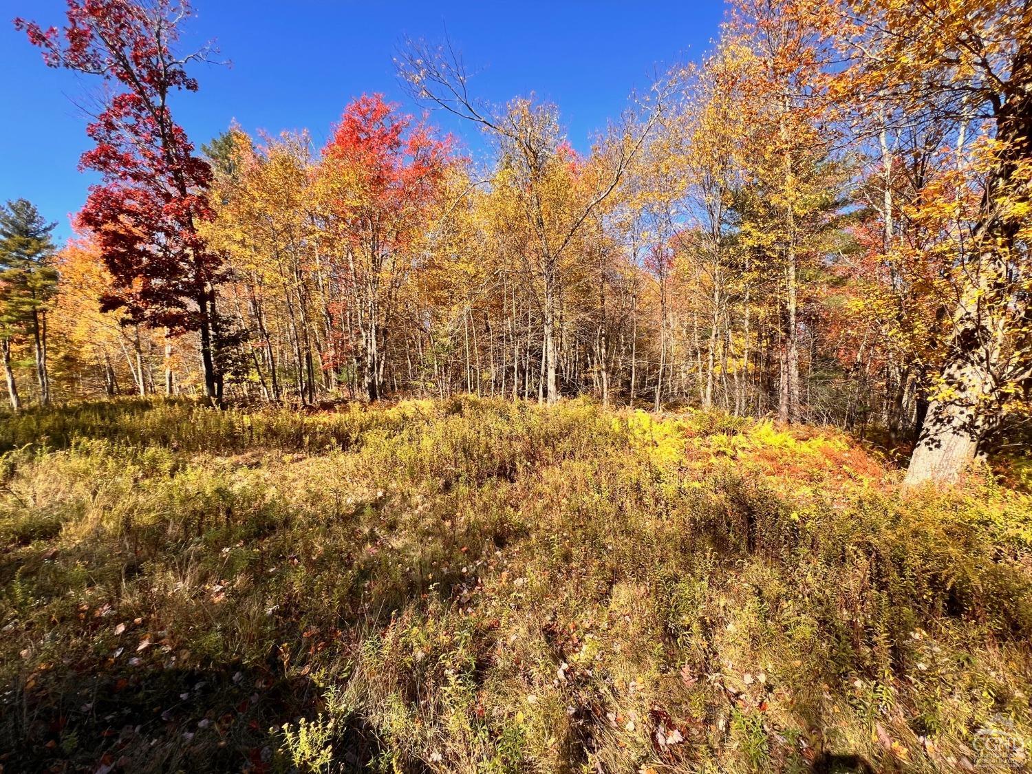 Knox Lane, Austerlitz, New York image 7