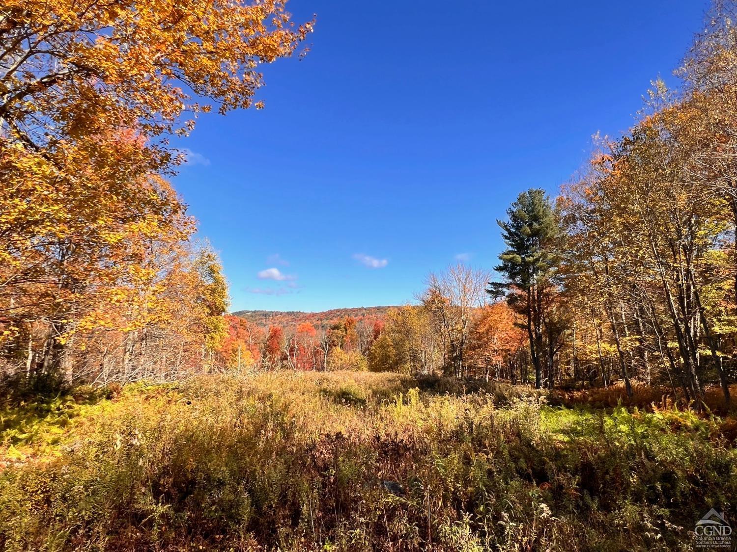 Knox Lane, Austerlitz, New York image 2