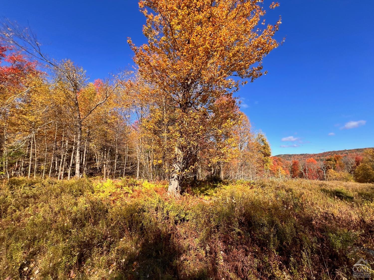 Knox Lane, Austerlitz, New York image 5