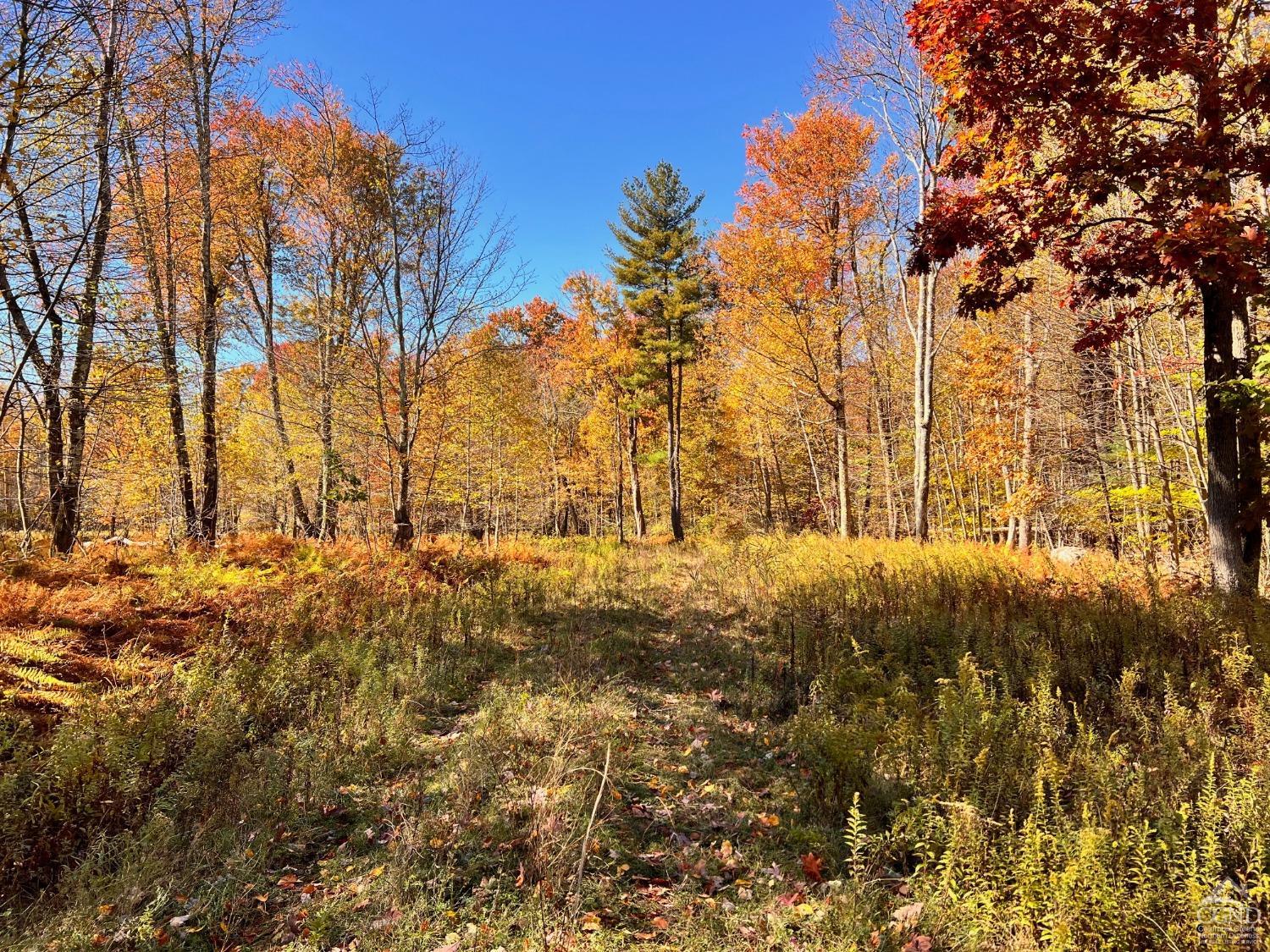 Knox Lane, Austerlitz, New York image 11