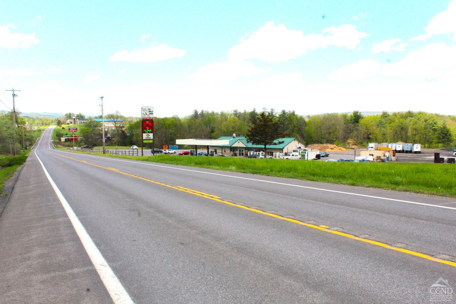 State Route 145, Durham, New York image 12