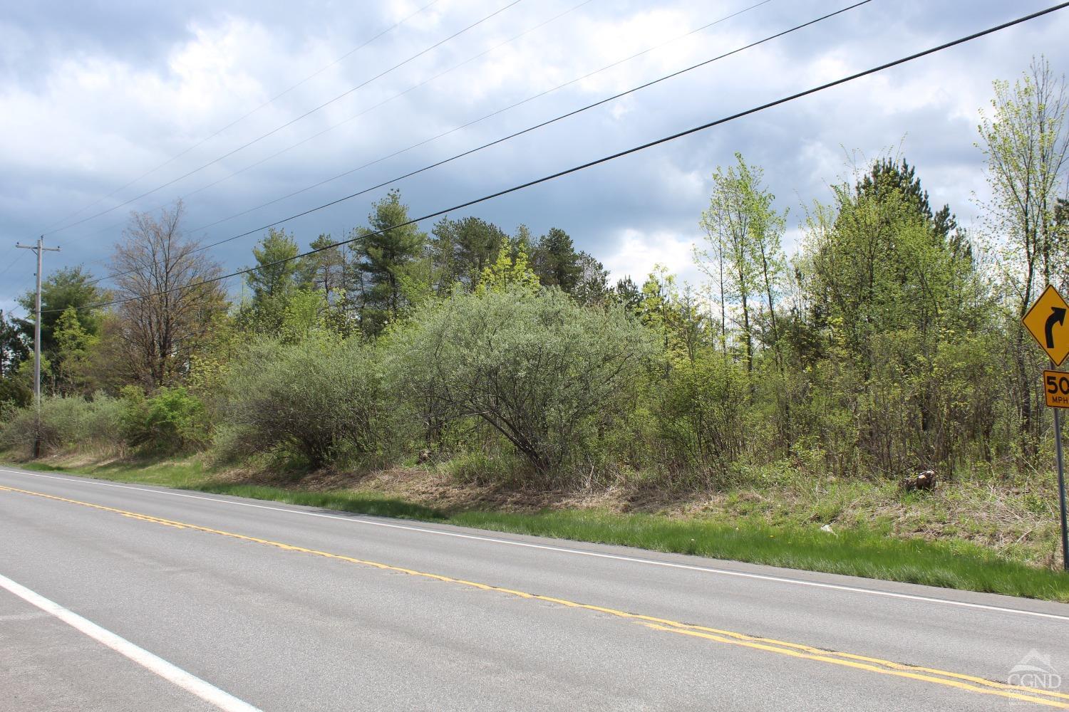 State Route 145, Durham, New York image 18