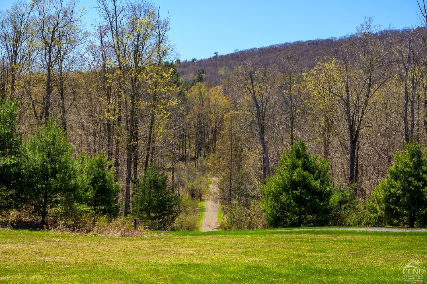 236 Dugway Road, Austerlitz, New York image 33