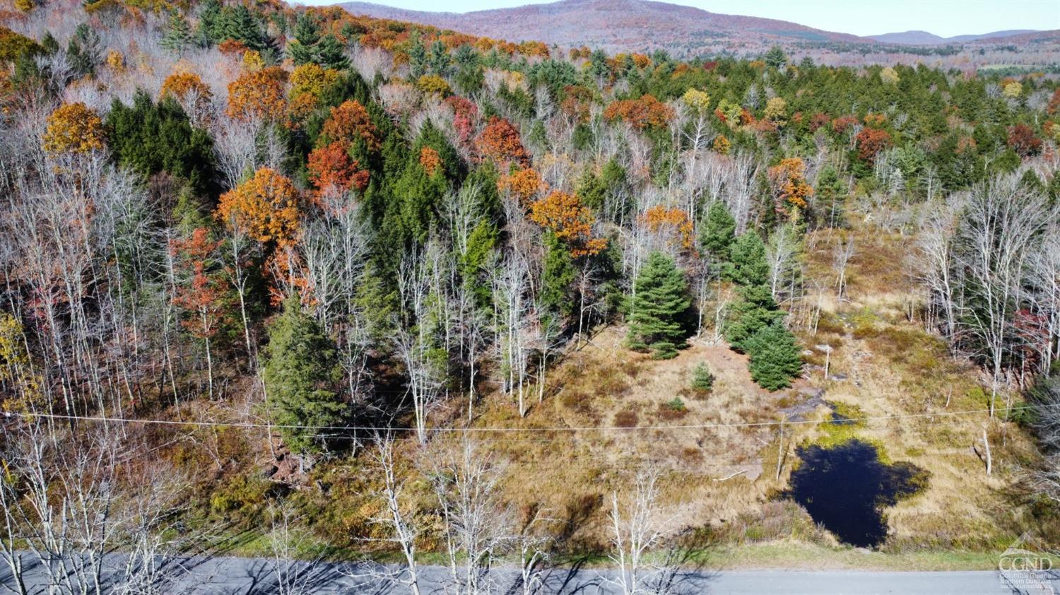 Ford Hill Road, Jewett, New York image 6