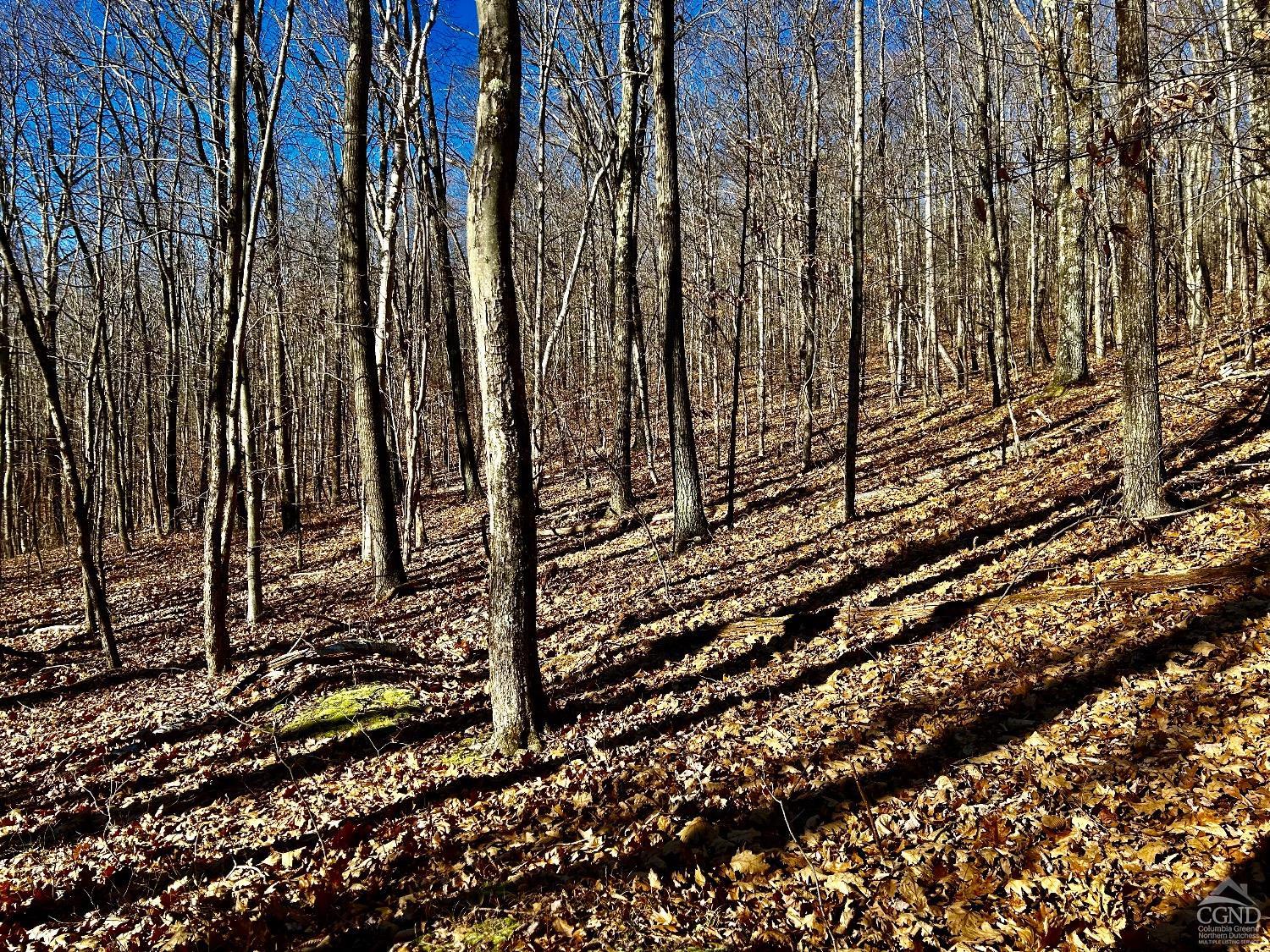 2 Dugway, Austerlitz, New York image 10