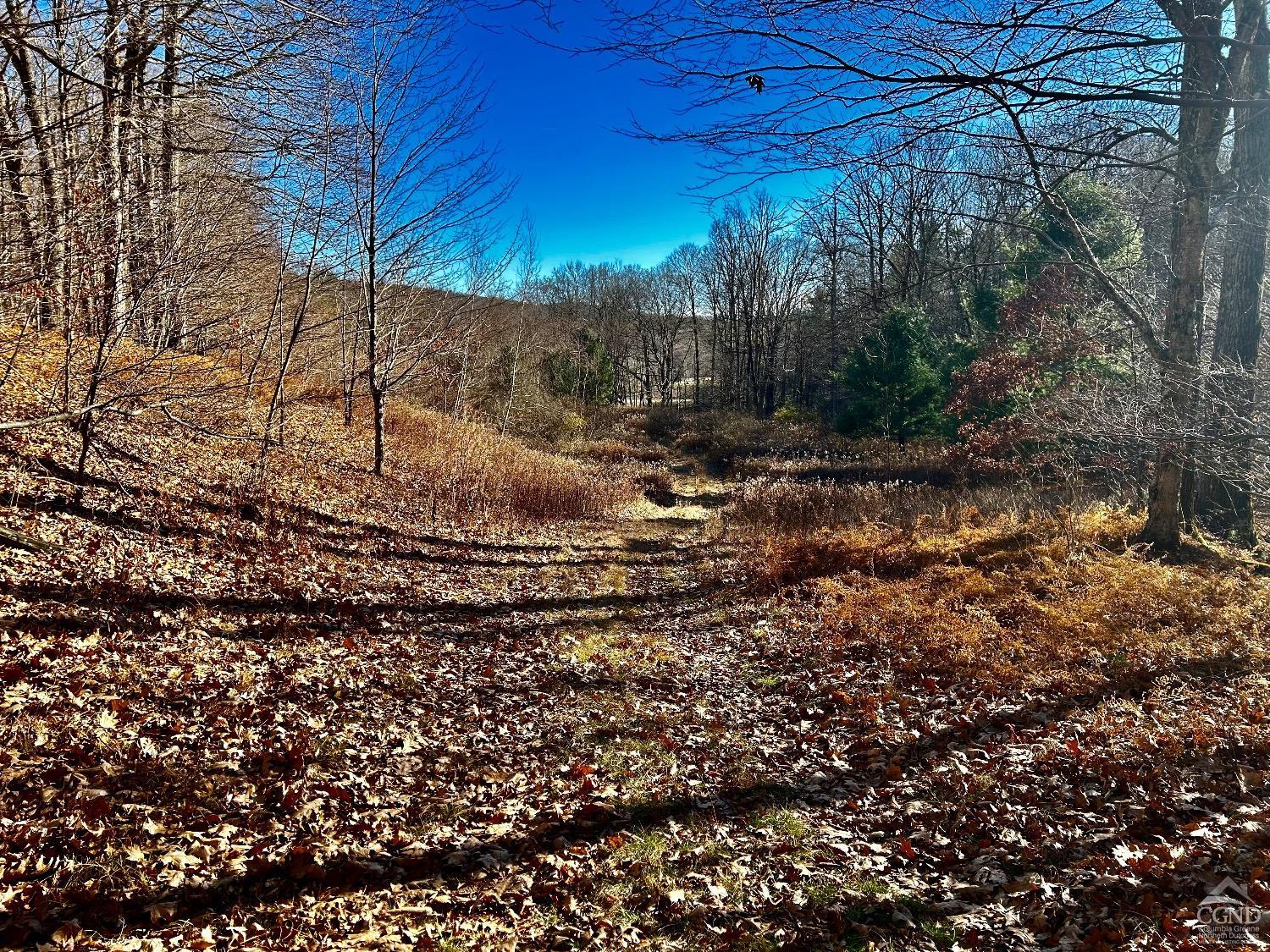 2 Dugway, Austerlitz, New York image 7