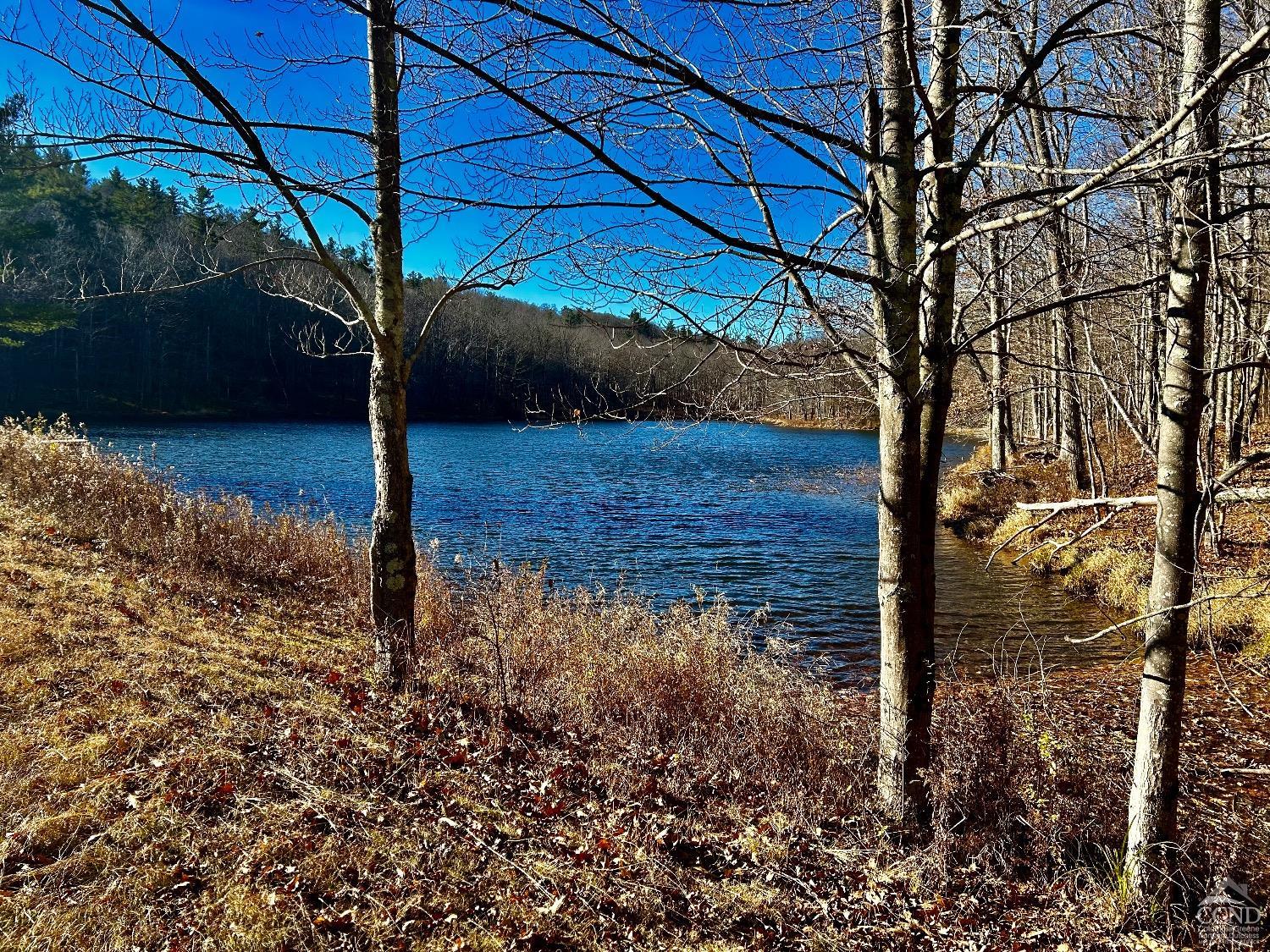 2 Dugway, Austerlitz, New York image 8