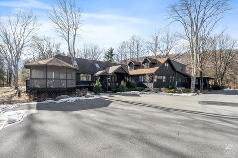 113 Van Road, Hunter, NY 12442 - MLS#: 156206