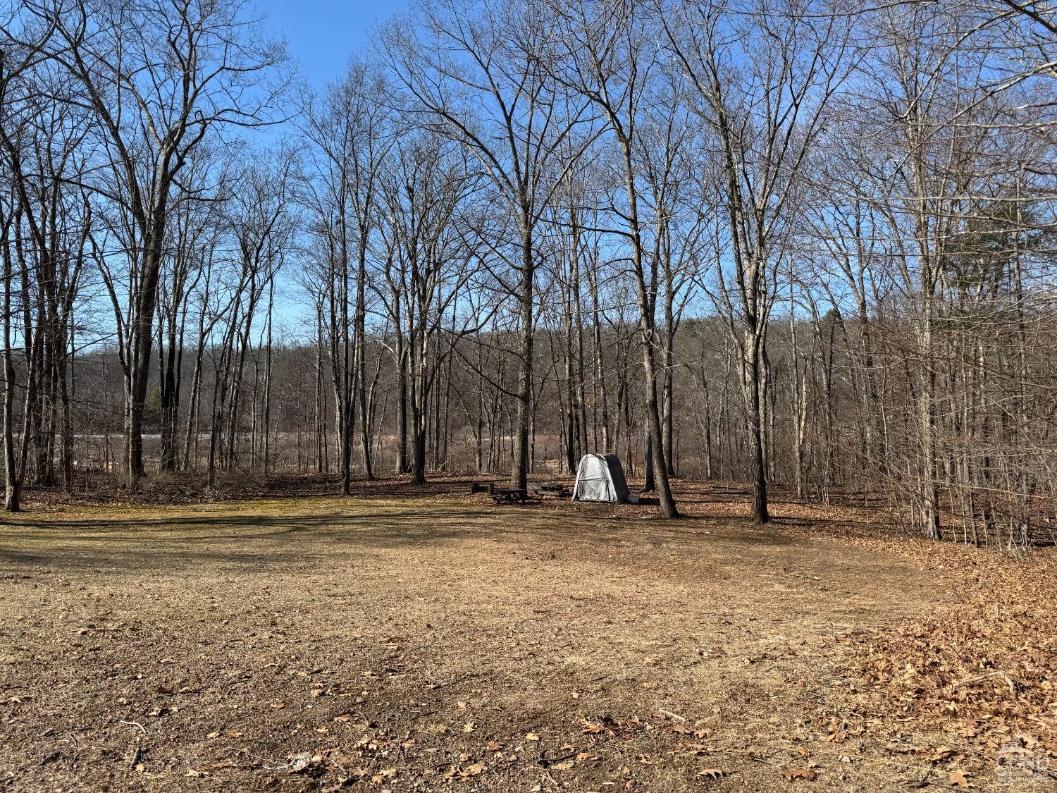 317 Scutt Road, Greenville, New York image 24