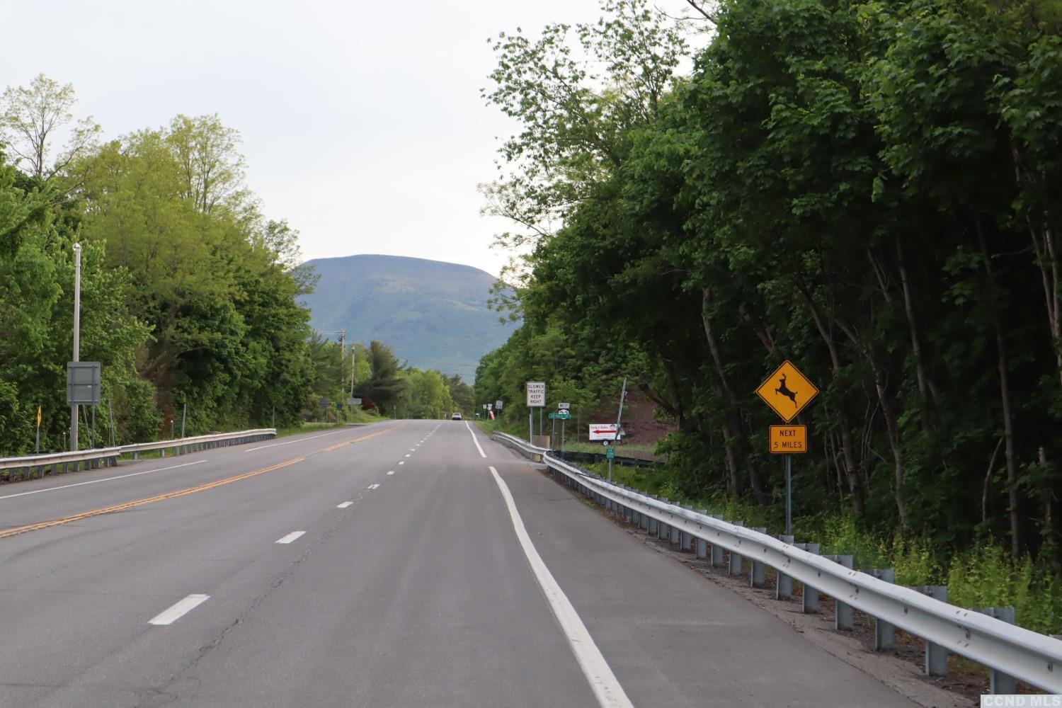 Route 23, Cairo, New York image 12