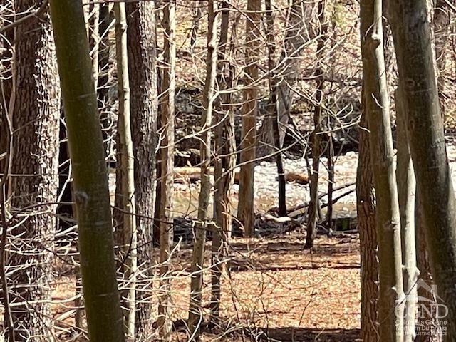 1158 Hearts Content Road, Cairo, New York image 4