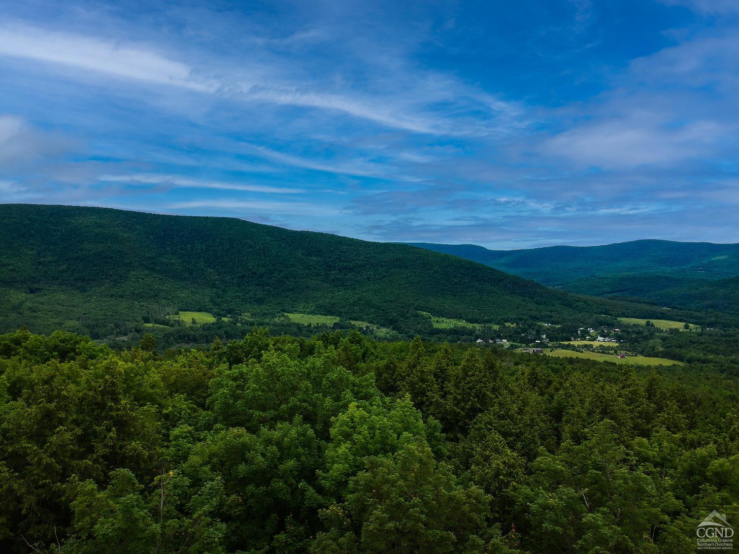 Norwegian Road, Lexington, New York image 5