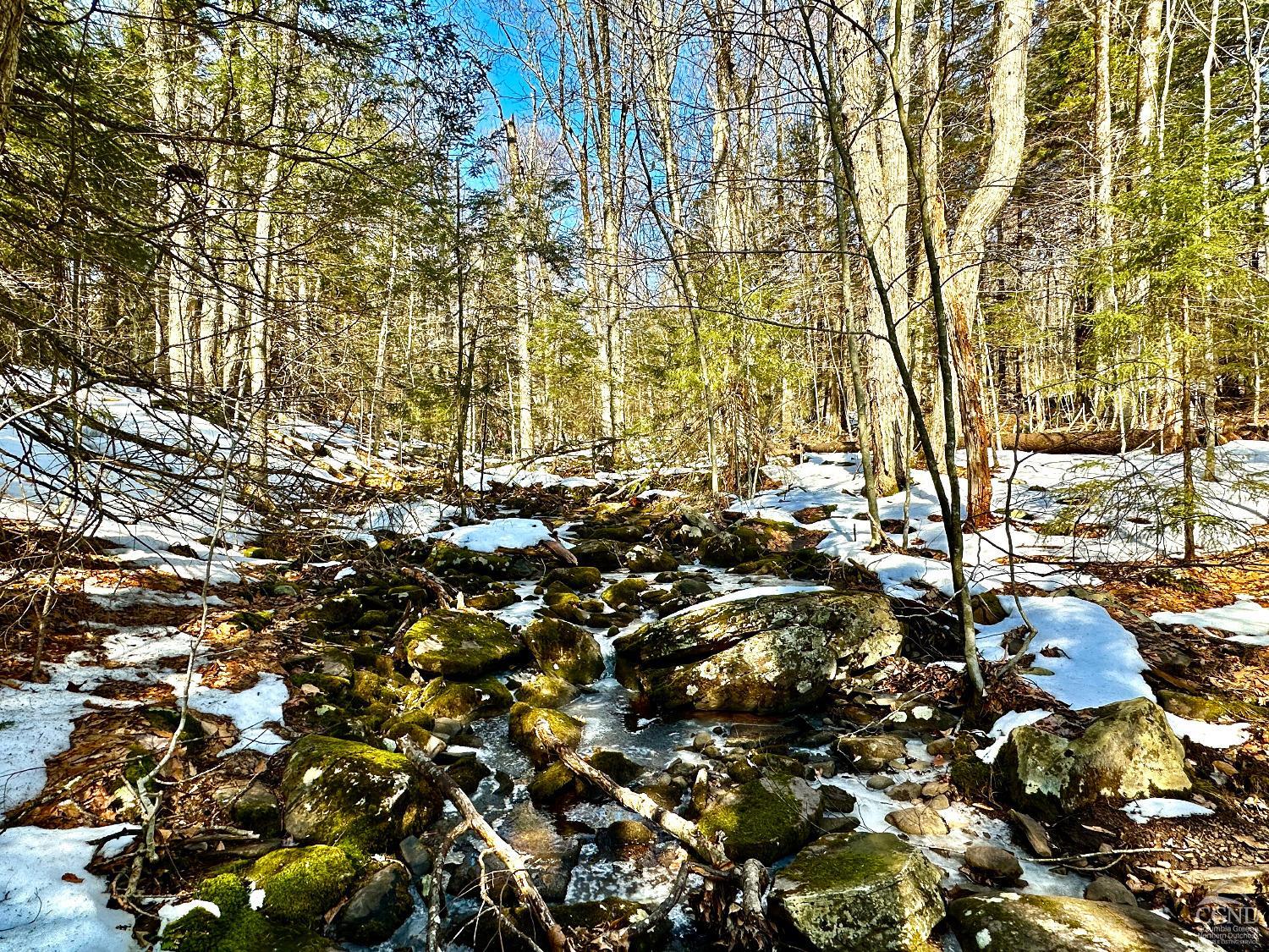 85 Laurel House Road, Hunter, New York image 13