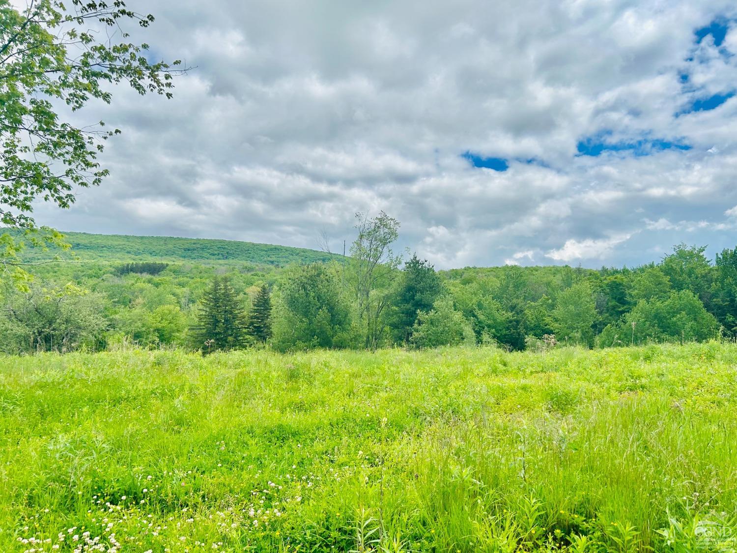 Ruth Court #4, Hunter, New York image 9