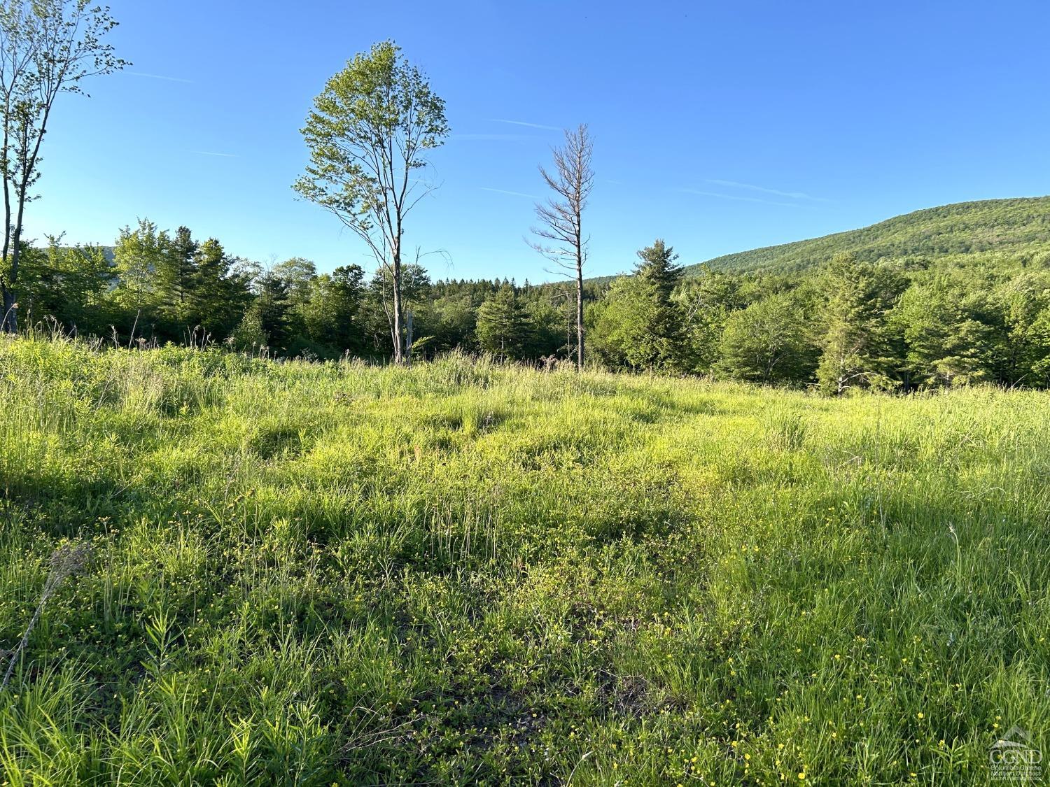 Ruth Court #4, Hunter, New York image 8