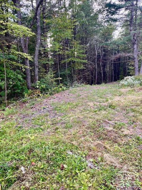 Old Ghost Road, Canaan, New York image 1