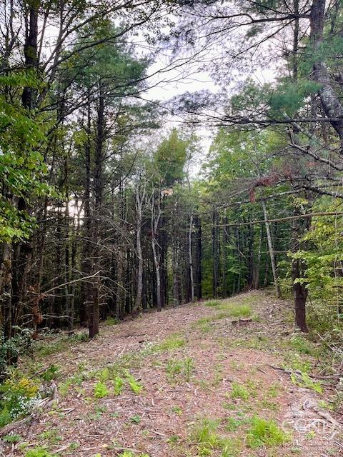 Old Ghost Road, Canaan, New York image 2