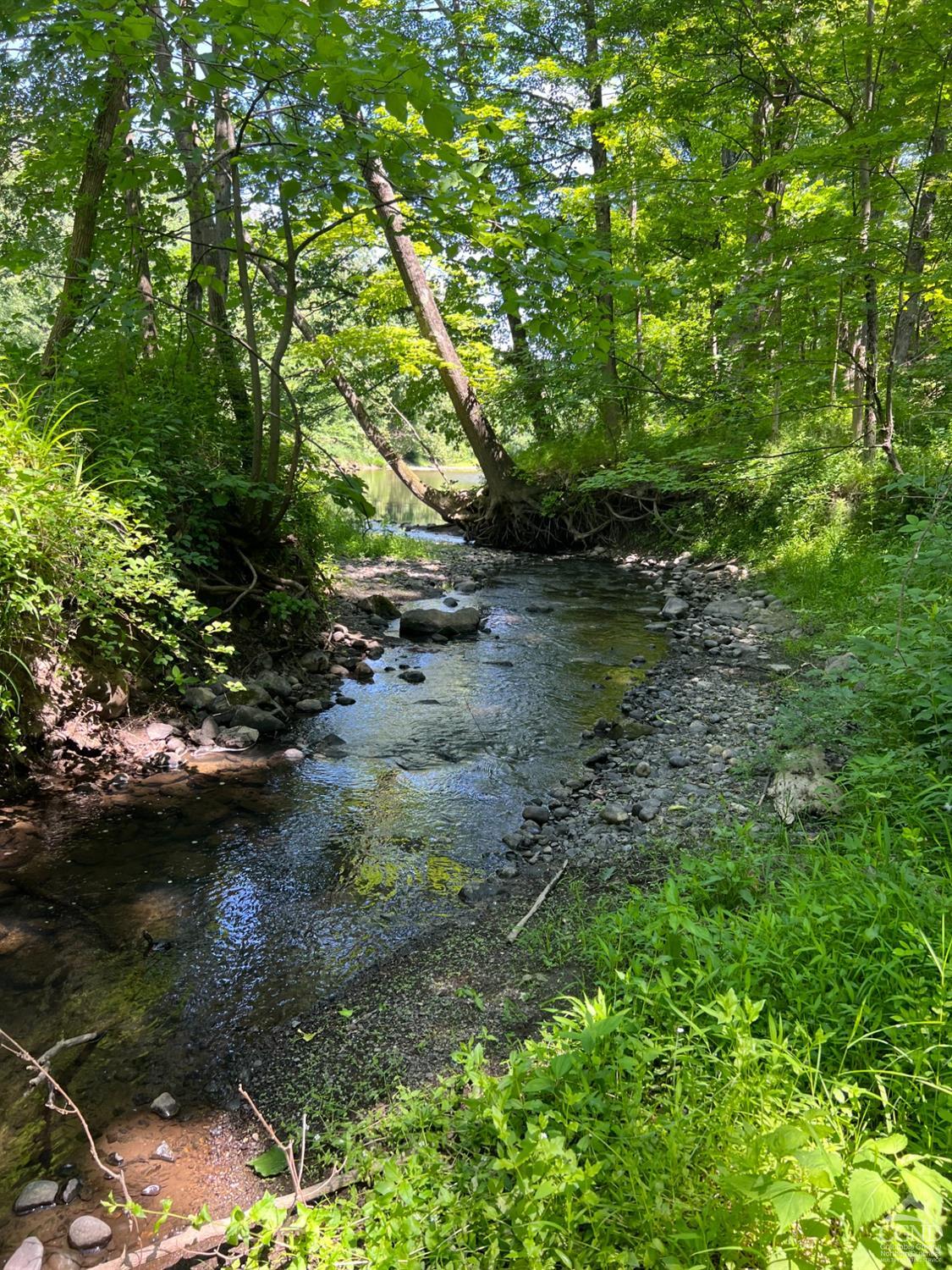 Route 9h, Kinderhook, New York image 5