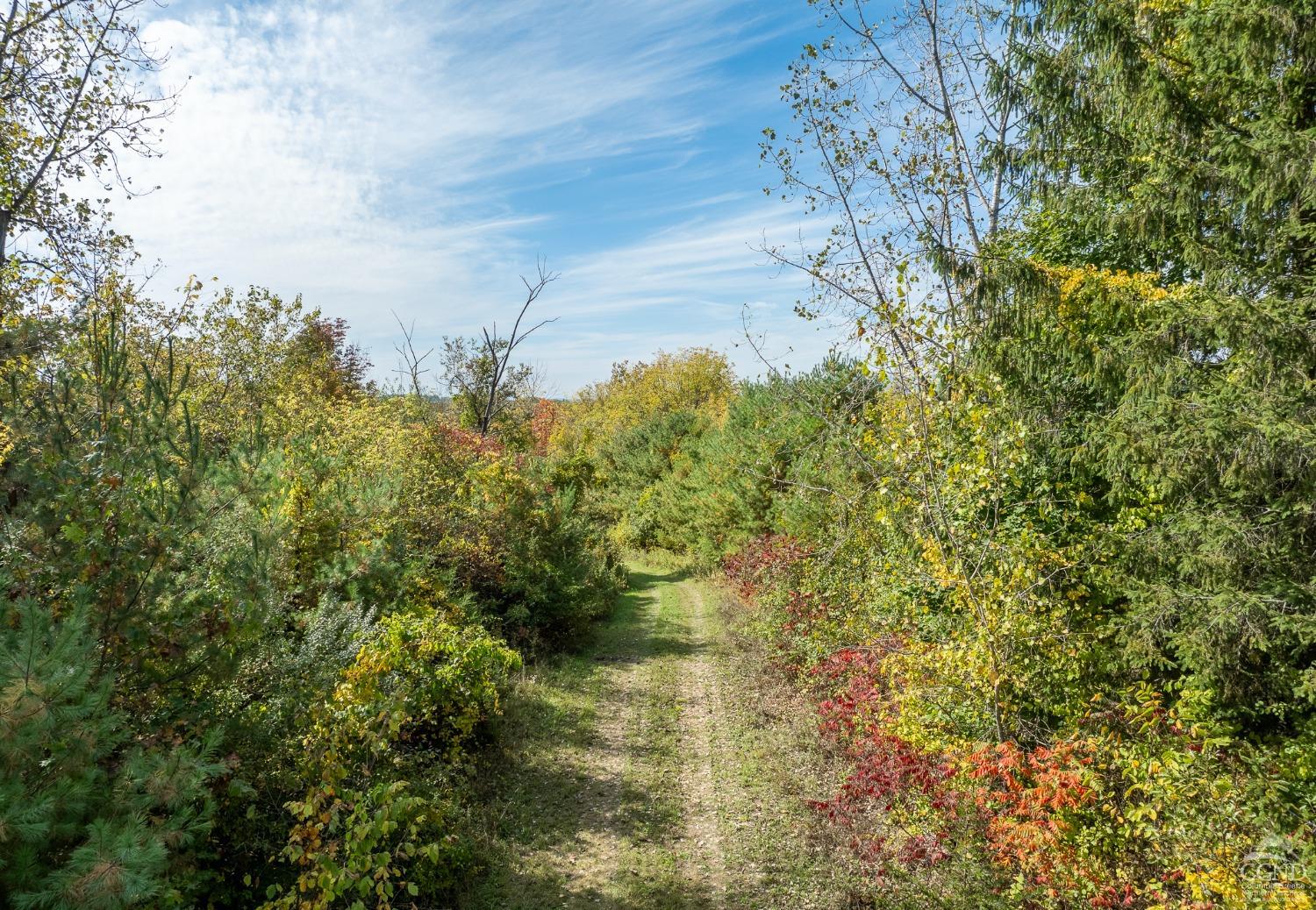 County Route 8 Avenue, Germantown, New York image 6